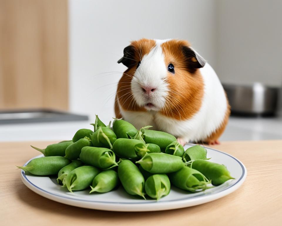Risks of feeding sweet peas to guinea pigs