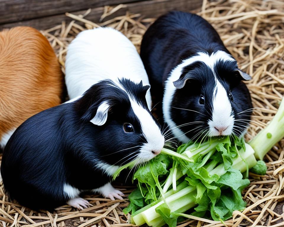 Can Guinea Pigs Eat Kohlrabi? Safe Treat Tips