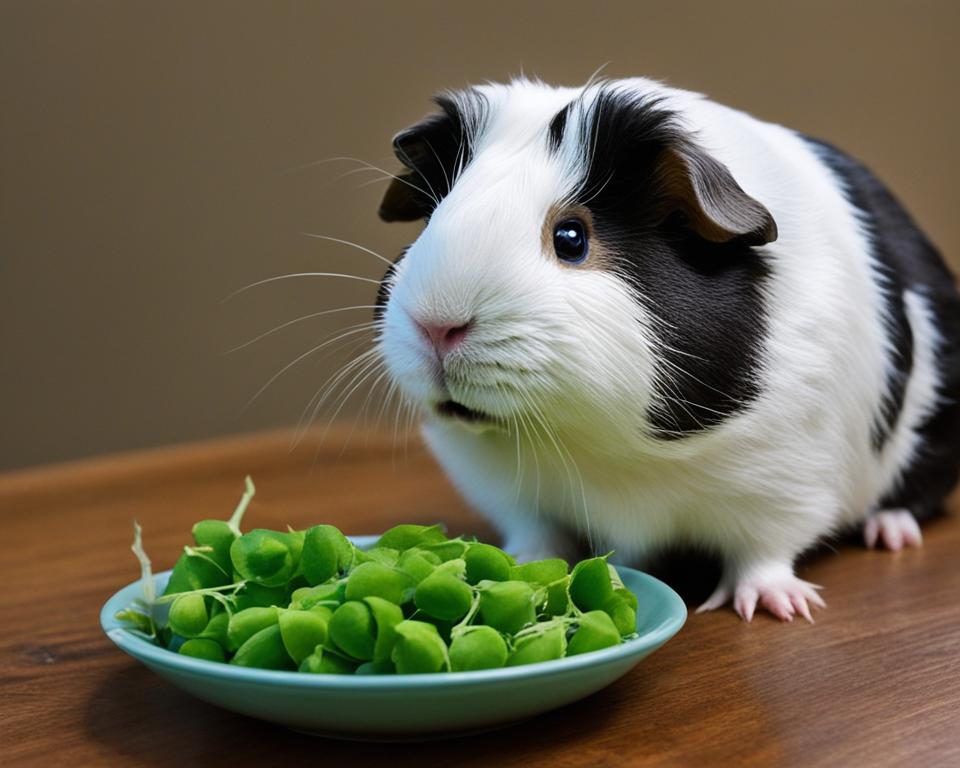 can guinea pigs eat sweet peas